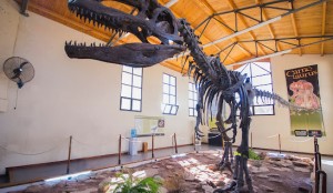 Museo Paleontologico Municipal Ernesto Bachmann, Neuquen