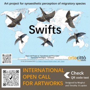 Swifts Art Project